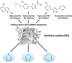levaquin onset of action