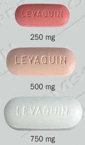 kamagra oral jelly out of date